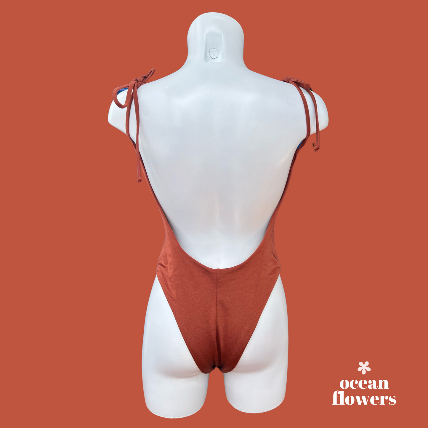 GOYA in Shiny Terracotta